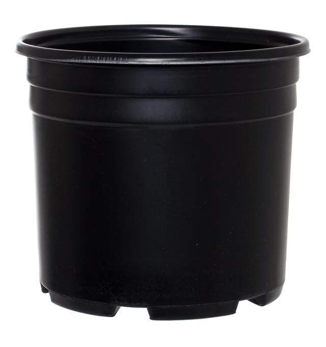 Pro Cal Thermo Pot, Squat