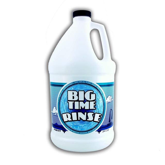 Big Time Rinse