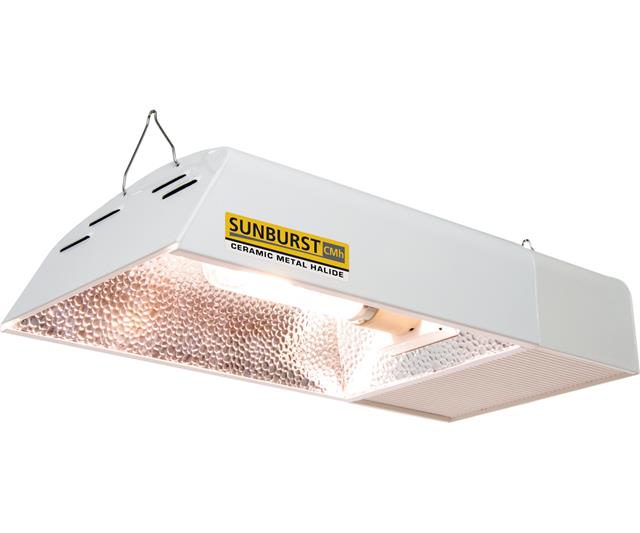 Sunburst CMh 120/240V w/Lamp, 315W