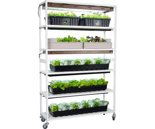 Vertical Grow Shelf System, 6 Shelves, w/Casters