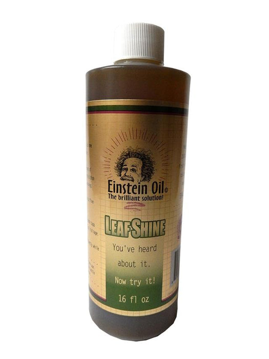 Einstein Oil