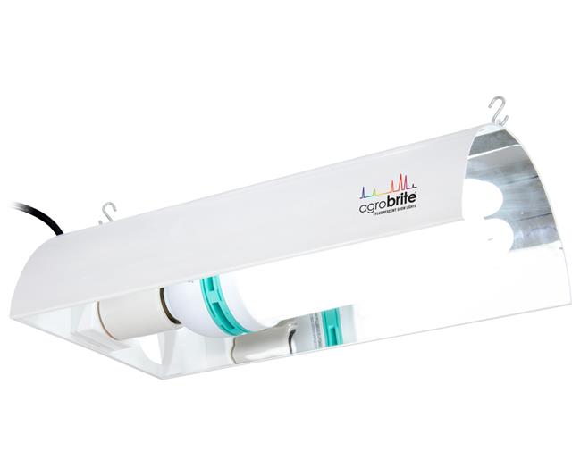 Fluorowing Compact Fluorescent System, 125W, 6400K