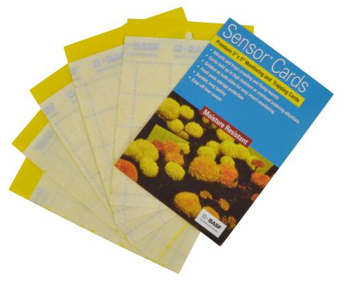 Sensor Cards Yellow Monitoring and Trapping Cards 50/Pack (15/Cs)