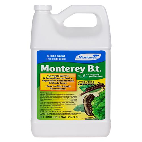 Monterey B.t.