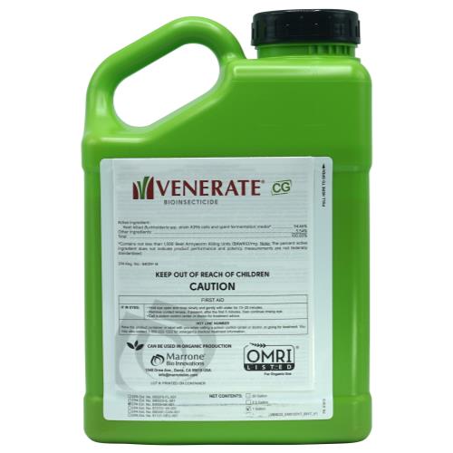 Marrone Bio Innovations Venerate CG Bioinsecticide