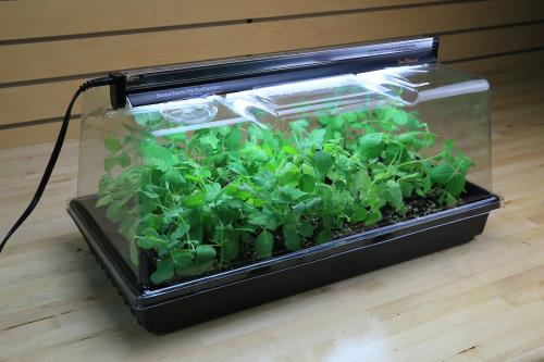 Super Sprouter Deluxe Propagation Kit