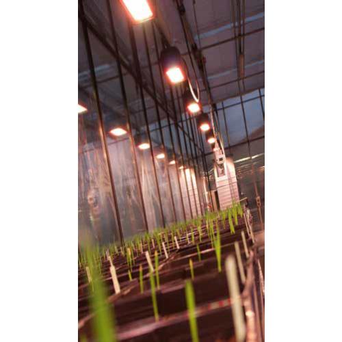 Osram HL300 Grow White LED Horticulture Luminaire - 600 Watt