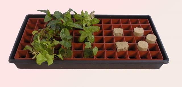 Grodan Gro-Smart Tray, 78-Cell, Terracotta